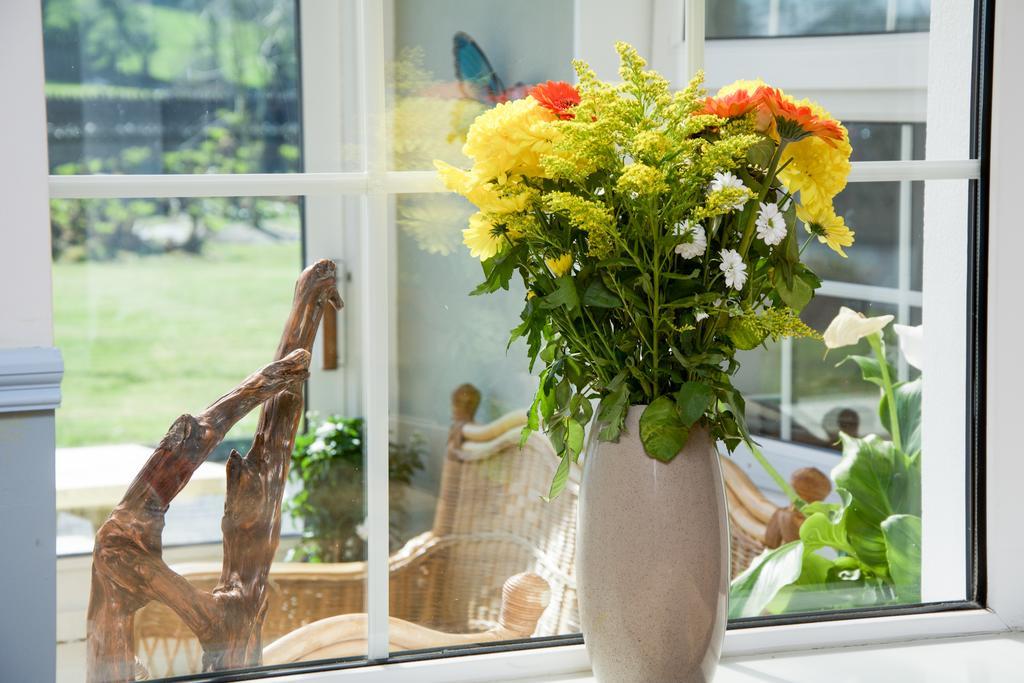 كينمير The Rose Garden Bed & Breakfast And Cafe المظهر الخارجي الصورة