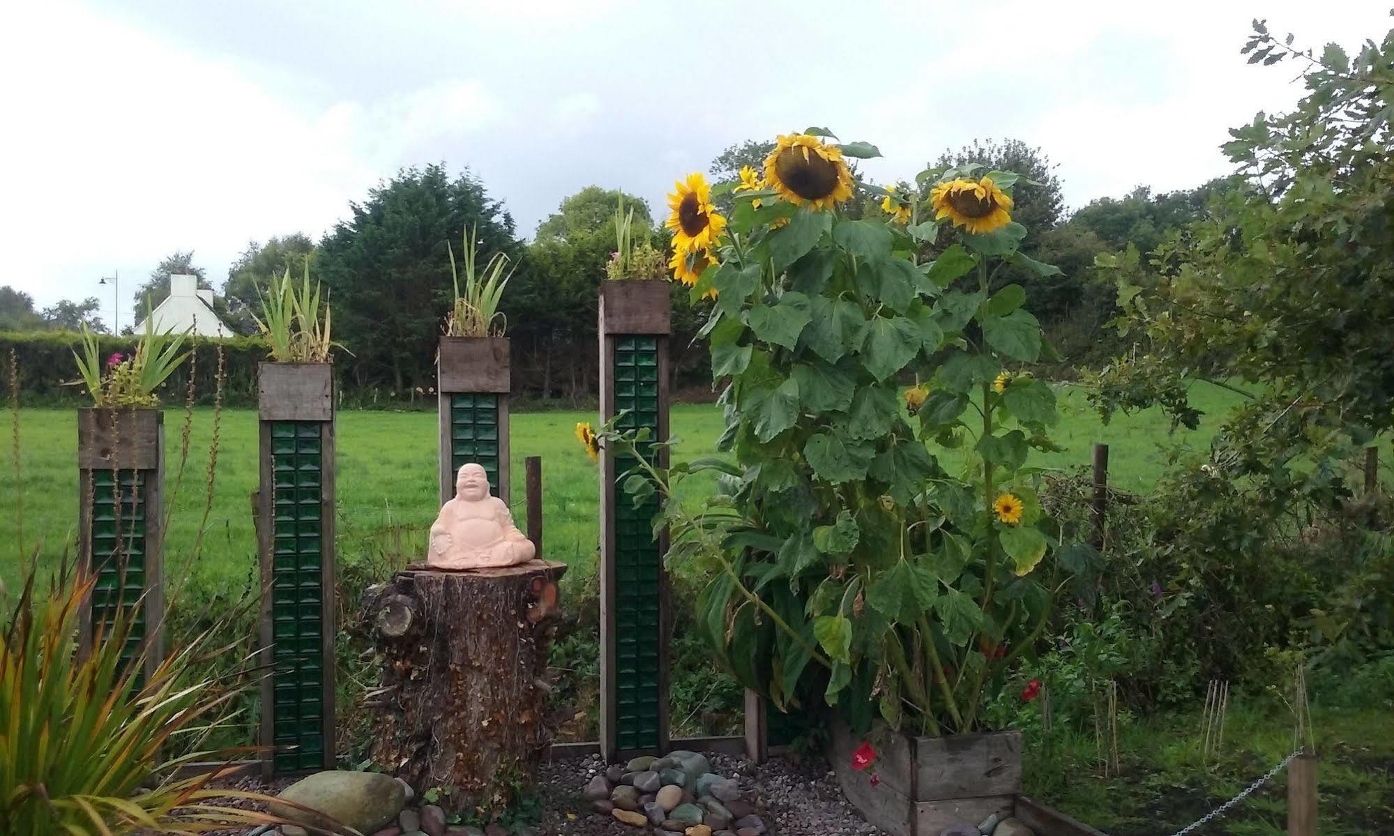 كينمير The Rose Garden Bed & Breakfast And Cafe المظهر الخارجي الصورة